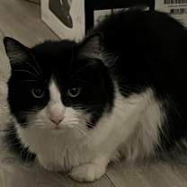 Thumbnail photo of Ruben #2