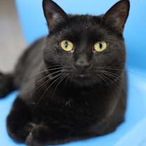 Thumbnail photo of Keisha #1