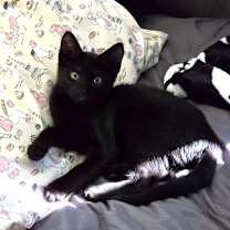 Thumbnail photo of Wednesday #1