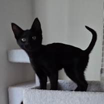 Thumbnail photo of Wednesday #2