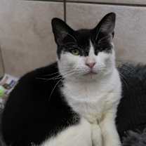 Thumbnail photo of Zuzu #1