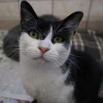 Thumbnail photo of Zuzu #2