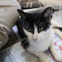 Thumbnail photo of Zuzu #3