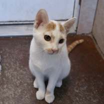 Thumbnail photo of Muse #2