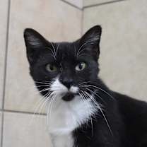 Thumbnail photo of Tezza #1