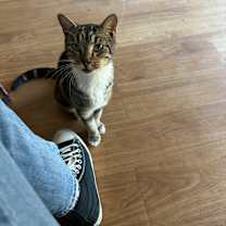 Thumbnail photo of Chai #2