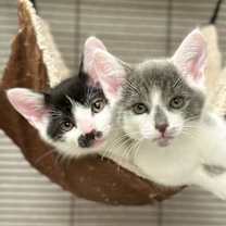 Thumbnail photo of Nick #4