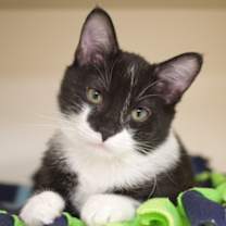 Thumbnail photo of Caroline #1