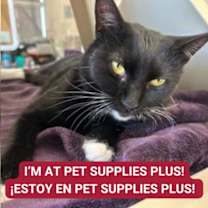 Thumbnail photo of Rosemary #1