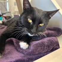 Thumbnail photo of Rosemary #2