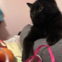 Thumbnail photo of Wednesday #3