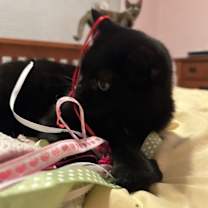 Thumbnail photo of Wednesday #4