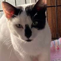 Thumbnail photo of Harper #2