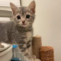 Thumbnail photo of Moonlight #4