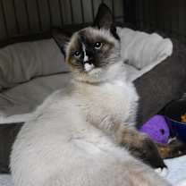 Thumbnail photo of Luca #1