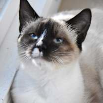 Thumbnail photo of Luca #4