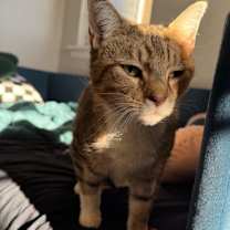 Thumbnail photo of Tamara  #4