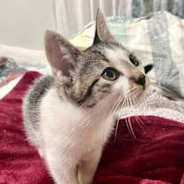 Thumbnail photo of Marky #2