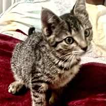 Thumbnail photo of Maddie  #3