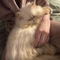 Thumbnail photo of Emmy #3