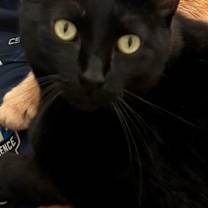 Thumbnail photo of Lizzie #1