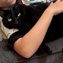 Thumbnail photo of Lizzie #3