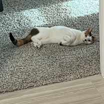 Thumbnail photo of Sky or Sky-Girl #4