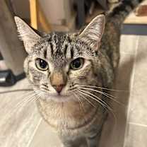 Thumbnail photo of Mary Ann #1