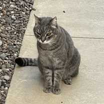 Thumbnail photo of Smokey #4