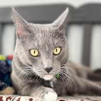 Thumbnail photo of Fred #4