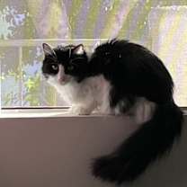 Thumbnail photo of Ruben #3