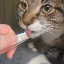 Thumbnail photo of Lenny #1