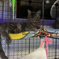 Thumbnail photo of Johan #1