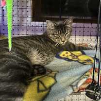 Thumbnail photo of Johan #2