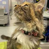 Thumbnail photo of Bettina #3