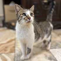 Thumbnail photo of Mitzi #2