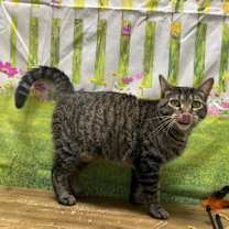 Thumbnail photo of Stormy #2