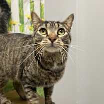 Thumbnail photo of Stormy #3