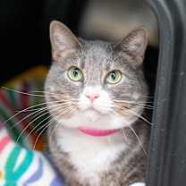 Thumbnail photo of Baby #1