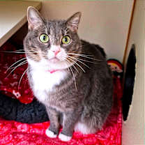 Thumbnail photo of Baby #2