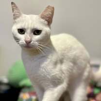 Thumbnail photo of Snow #3