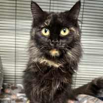 Thumbnail photo of Sally #1