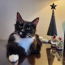 Thumbnail photo of Billy Ray #1