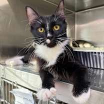 Thumbnail photo of Billy Ray #2