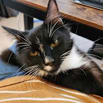 Thumbnail photo of Billy Ray #3