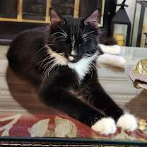 Thumbnail photo of Billy Ray #4