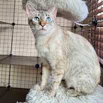 Thumbnail photo of Cherish #3