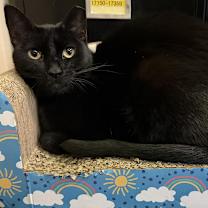 Thumbnail photo of Mica & Milo Delancey #3