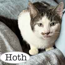 Thumbnail photo of Hoth #2