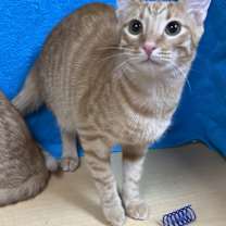 Thumbnail photo of Nate #3